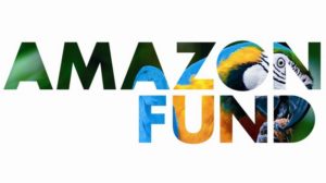 logo_amazon_fund_grande